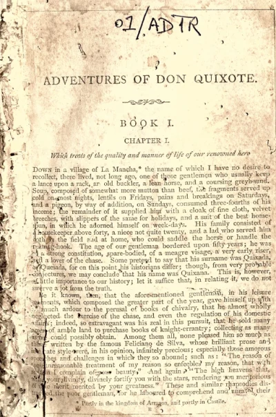 The Adventures of Don Quixote (Book I)